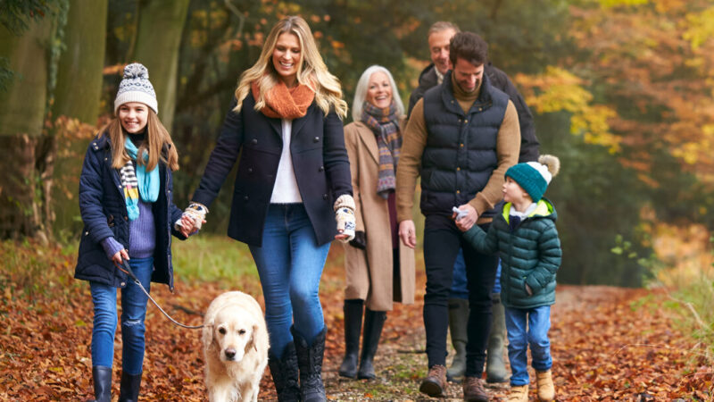 Family Breaks in the New Forest Hotels | Activities for Family | Walking in the New Forest