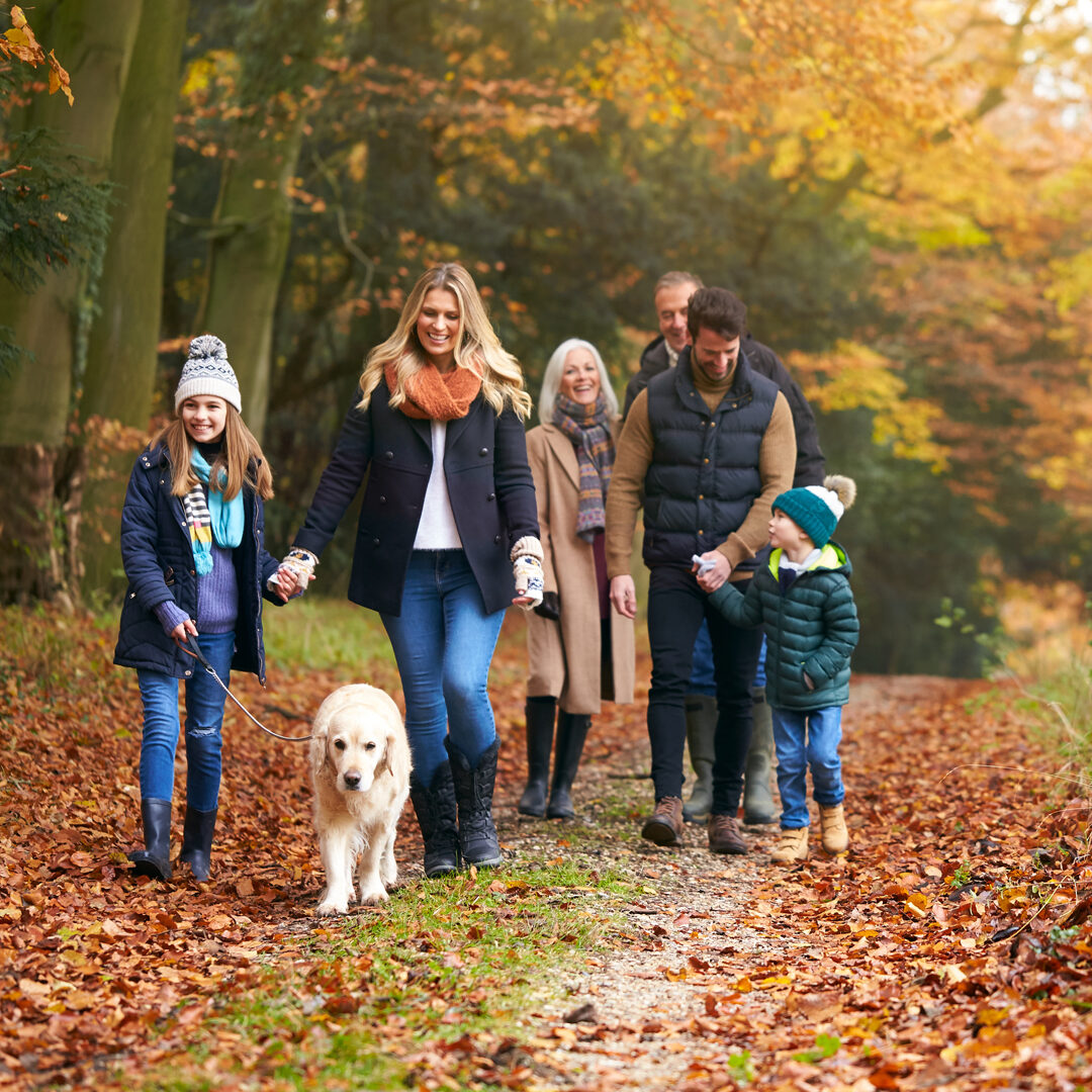 Family Breaks in the New Forest Hotels | Activities for Family | Walking in the New Forest