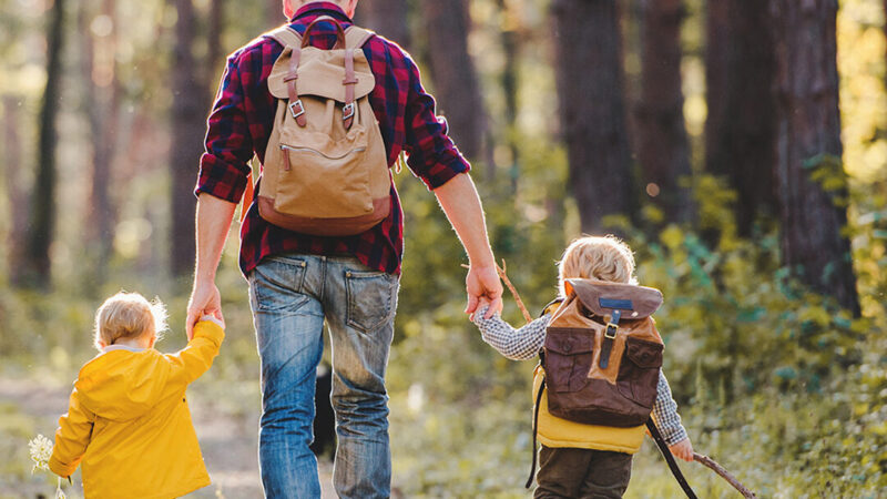 Family Breaks in the New Forest Hotels | Activities for Kids | Walking in the New Forest
