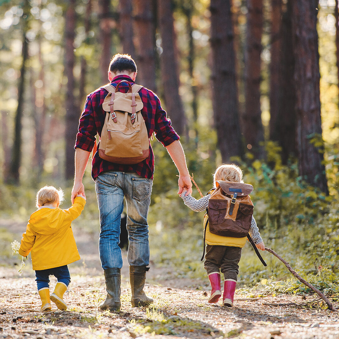 Family Breaks in the New Forest Hotels | Activities for Kids | Walking in the New Forest