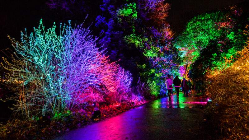 Light Trail Hampshire
